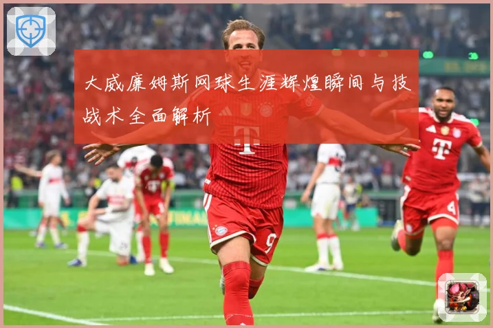 大威廉姆斯网球生涯辉煌瞬间与技战术全面解析