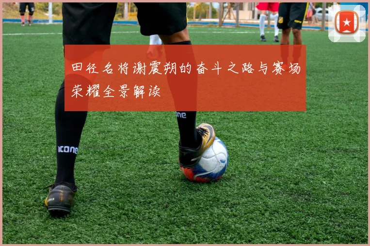 田径名将谢震朔的奋斗之路与赛场荣耀全景解读